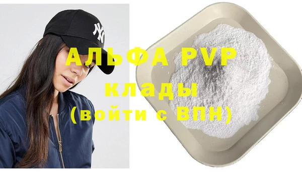 ГАЛЛЮЦИНОГЕННЫЕ ГРИБЫ Вяземский