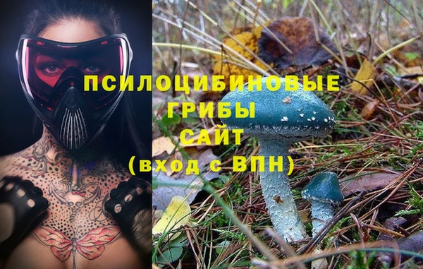 ГАЛЛЮЦИНОГЕННЫЕ ГРИБЫ Вяземский
