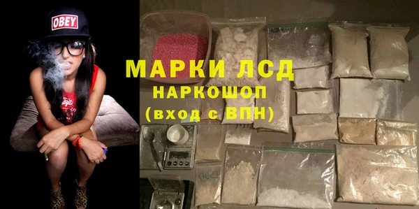 ГАЛЛЮЦИНОГЕННЫЕ ГРИБЫ Вяземский