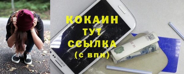 ГАЛЛЮЦИНОГЕННЫЕ ГРИБЫ Вяземский